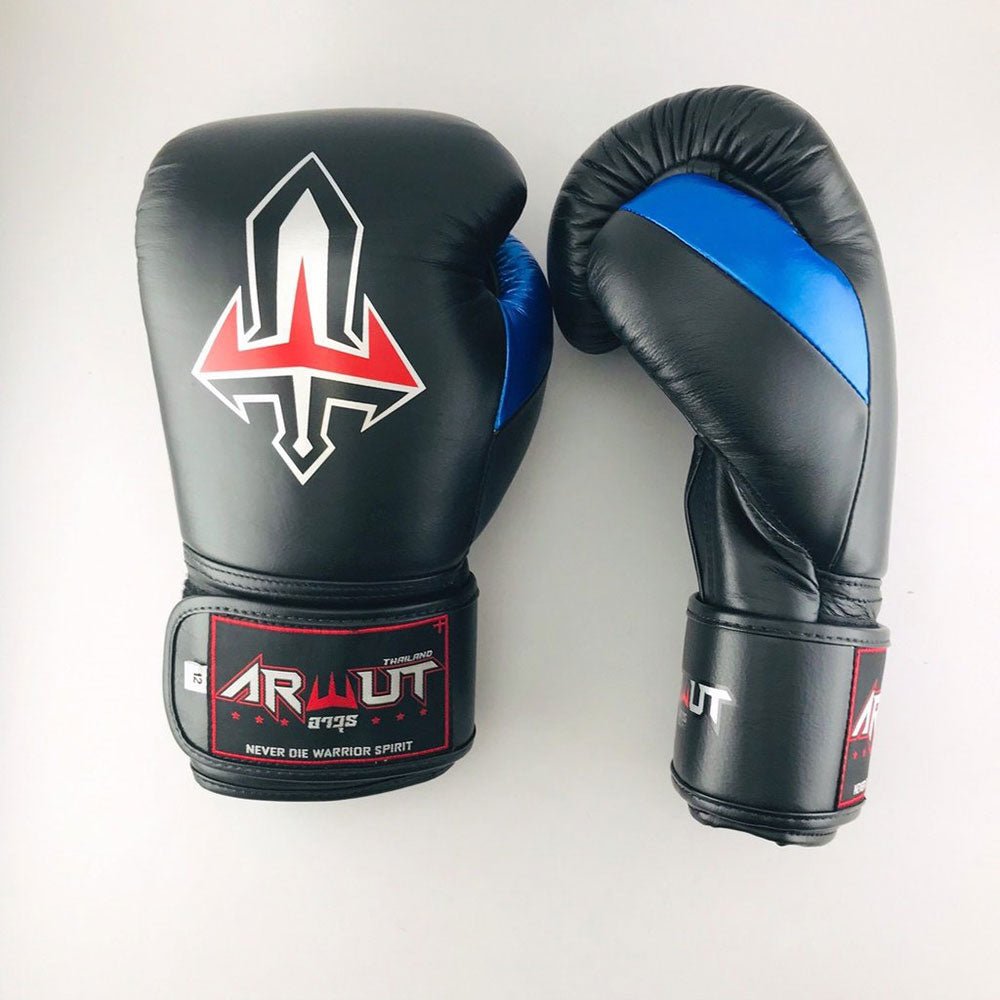 BG2 Boxing Gloves Black Version