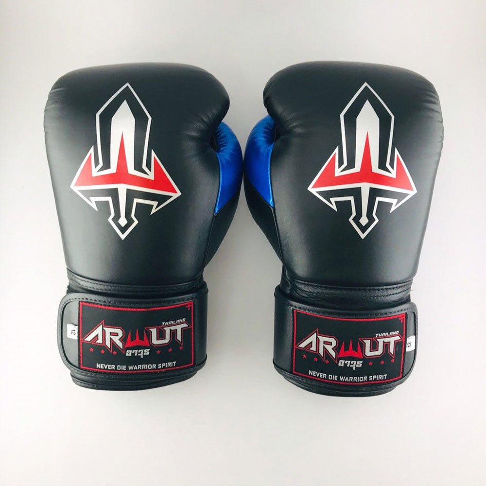 Black Version BG2 Boxing Gloves
