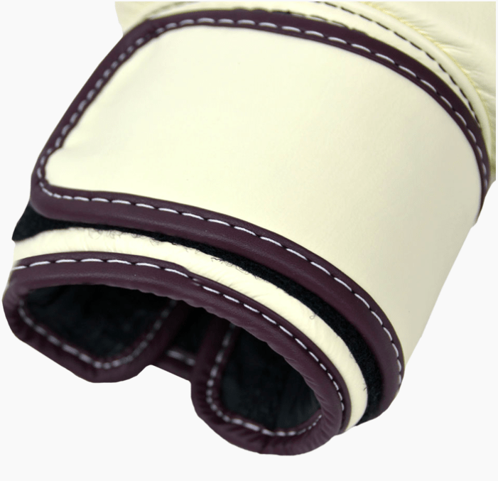 Fairtex Leather Boxing Gloves BGV16