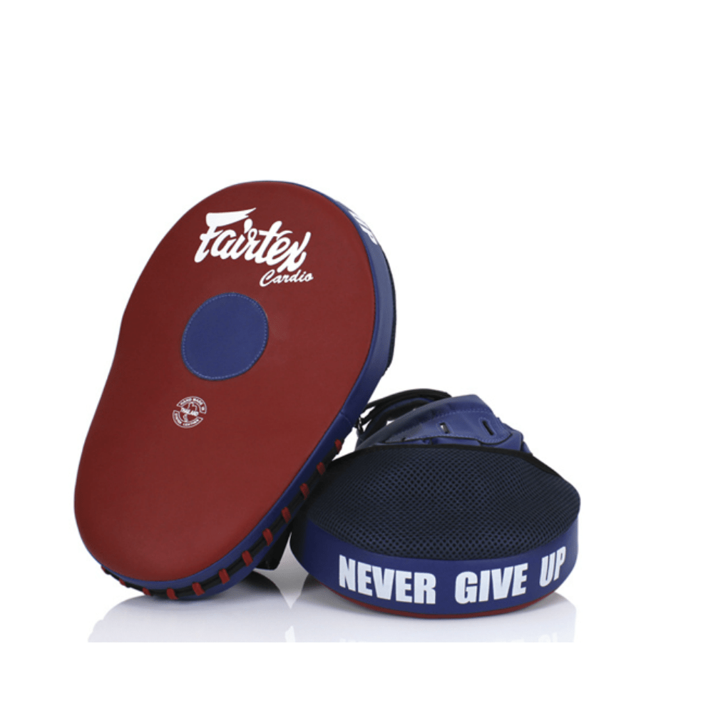 Fairtex focus hot sale pads