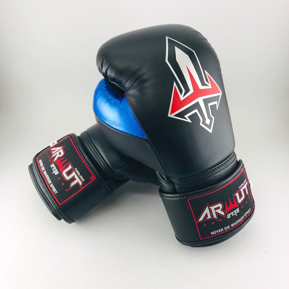 Boxing Gloves BG2 Black Version