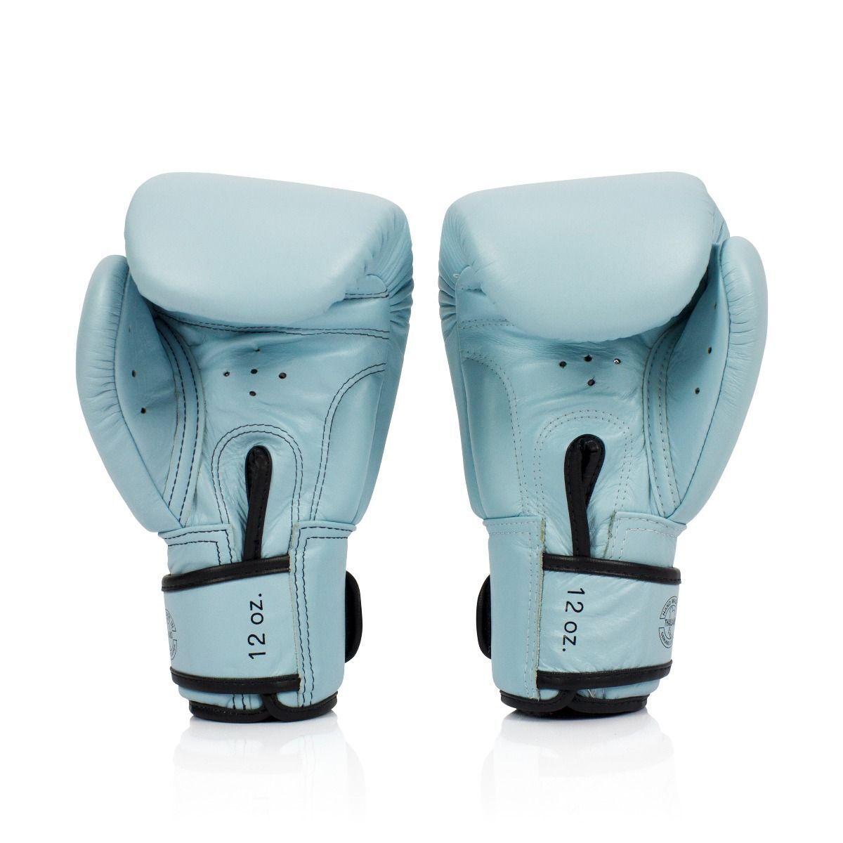 Fairtex Boxing Gloves Pastel Blue  