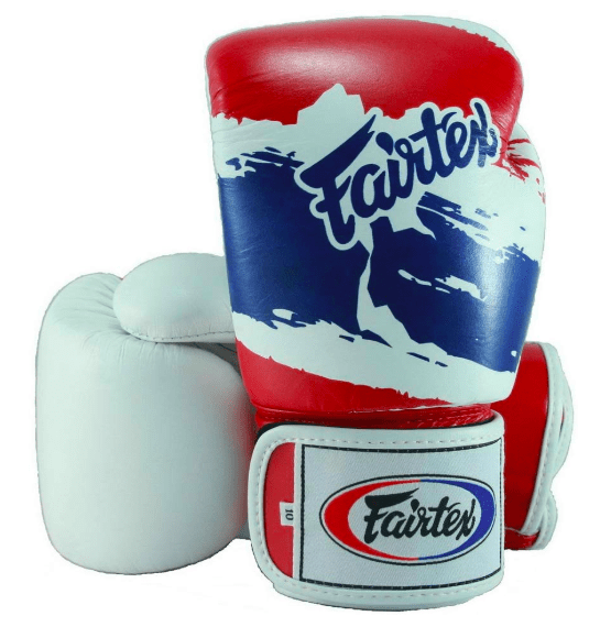 Fairtex 10oz  Boxing Gloves