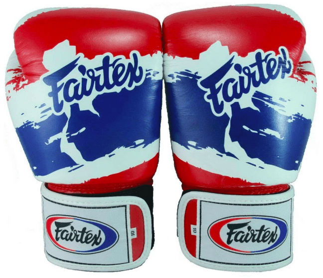 Fairtex Muay Thai Boxing Gloves