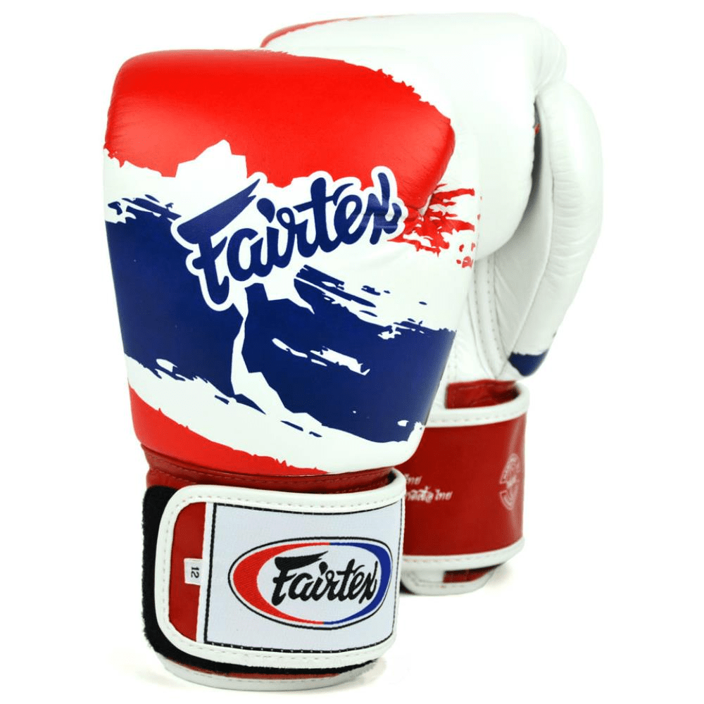 Fairtex 12oz Boxing Gloves